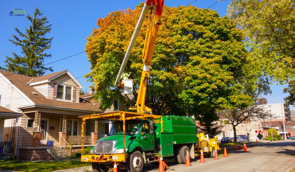 Residential Junk Removal Services in Pocomoke City, Maryland