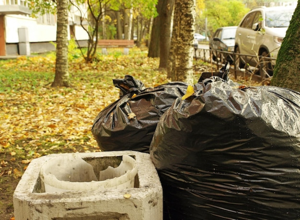 junk removal services for beginners